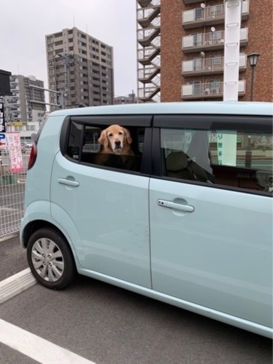 モコ追加画像