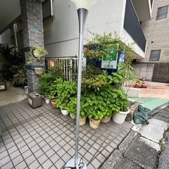 スタンドライト　ニトリの画像
