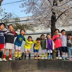 幼児、小学生の少年少女を対象としたサッカークラブですの画像