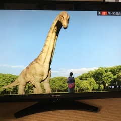 大型テレビ40㌅AQUOS-LC-40E9