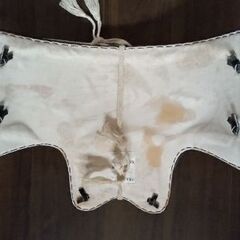 少林寺拳法の胴の画像