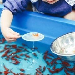 夏祭りの夜店を手伝いませんか？の画像