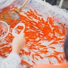 夏祭りの夜店を手伝いませんか？