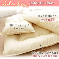 【未使用！未開封！】　アイリスプラザ布団4点セット シングル 洗...