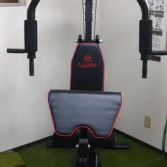 ホームジム　ライシン　BODY WEIGHT GYM DX LS-SA-690の画像