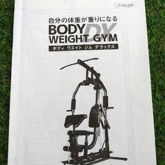 ホームジム　ライシン　BODY WEIGHT GYM DX LS-SA-690の画像