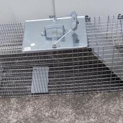 猫が逃げて緊急を要する方!!　猫捕獲器お貸しします！