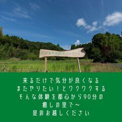 東洋医学で睡眠障害を改善　経絡ヘッドケア講座体験会6月の予定の画像