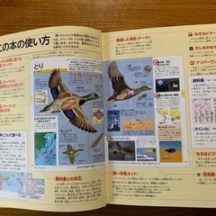 子供用図鑑2冊の画像