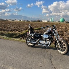 ハーレーダビットソンXLH883の画像