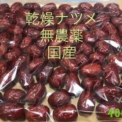 乾燥　ナツメ400g