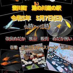 【めだか屋こう】With【dandanshop】めだか　パワーストーン