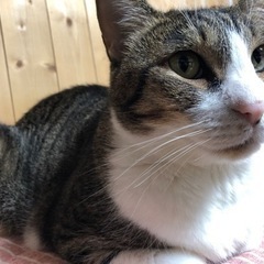 help再投稿、至急よろしくお願いいたします！