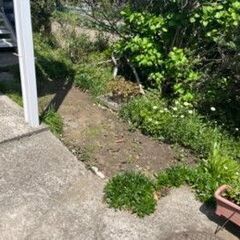 片貝で草刈お願いします - 山武郡