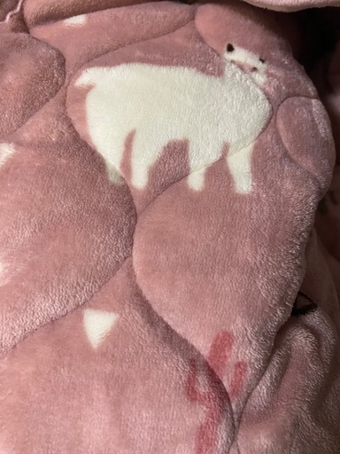 ニトリ Nウォーム 敷パッド
