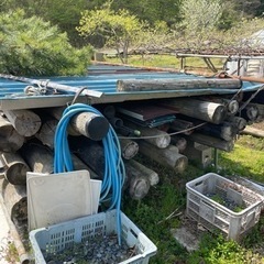 木材欲しい方おりませんか？