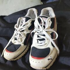 Pumaシューズ（中古）