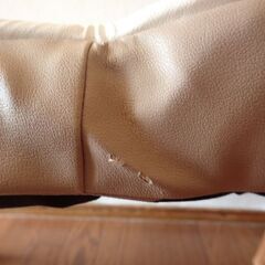 座椅子　カインズの画像