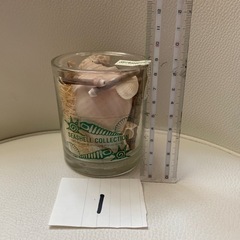 タイの貝がら　タイ雑貨　流木　マリン　トロピカルの画像