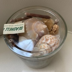 タイの貝がら　タイ雑貨　流木　マリン　トロピカルの画像