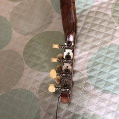 baghlama turkey の画像