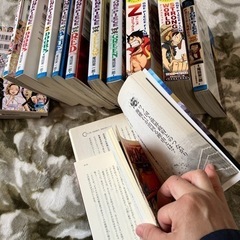 ワンピース100冊、1～100、プラス16冊の画像