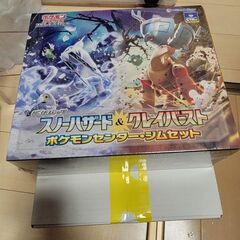 ポケモンカード　ジムセット　バイオレットex　スノーハザード