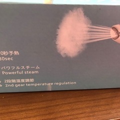 スチームアイロンの画像