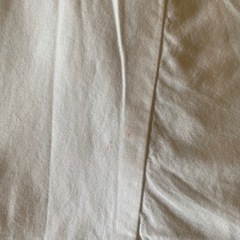 ZARA 刺繍入りシャツ　XSサイズ　おしゃれの画像