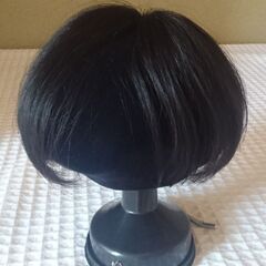 最終値下  頭頂の薄毛や生え際白髪隠しにも最適! 実質未装着の一流品アートネイチャー ウィッグの画像