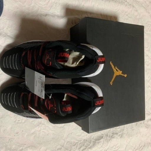 JORDAN  JUMPMAN 2021PF 未使用品