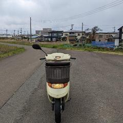 ディオ　チェスタ　50cc 4サイクルの画像