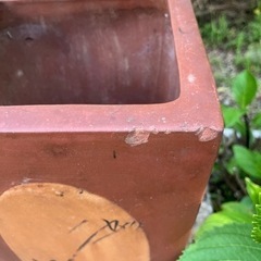 植木鉢の画像