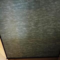 【シーズン前お値下げ！】５月人形　こどもの日　馬の大将の画像