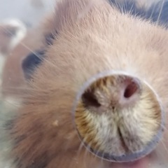 硬式テニスしませんか？