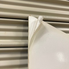 菅野美穂　等身大の画像