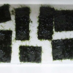 ウィローモスマット