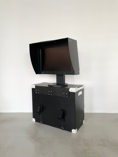 EIZO CG221 モニター　プロ用　専用ケース付き