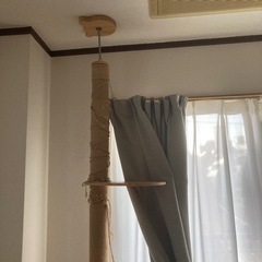 キャットタワー　突っ張り式の画像