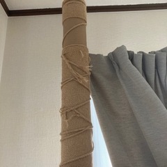 キャットタワー　突っ張り式の画像