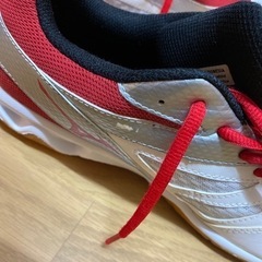 ミズノ　バレーボールシューズ　26.0cmの画像