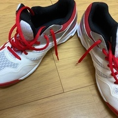 ミズノ　バレーボールシューズ　26.0cmの画像