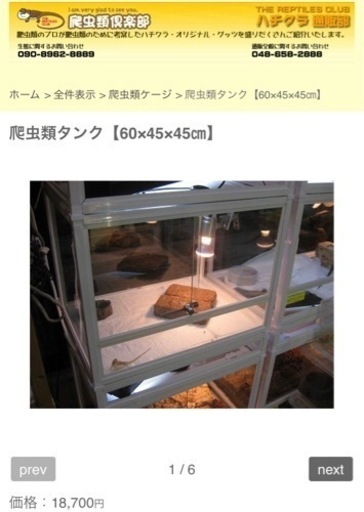 爬虫類ケージ【60×45×45㎝】爬虫類飼育セット