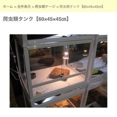 爬虫類飼育セット その他の中古が安い！激安で譲ります・無料で