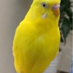 【里親様が決まりました】