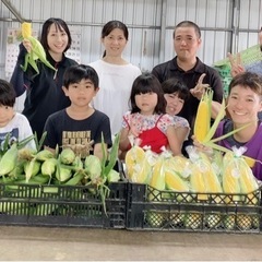 5/6(土)スイートコーン🌽農業体験募集in南城市 - イベント