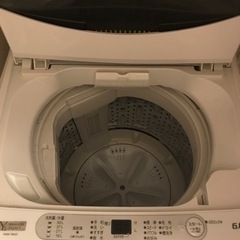 6.0kg洗濯機👕👖YWM-T60G1の画像