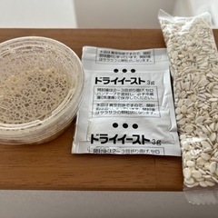 マイクロワーム　針子の初期飼料に！　★要事前予約★ 