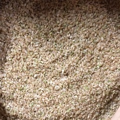 梨北米30kg （中米、玄米）令和四年の画像