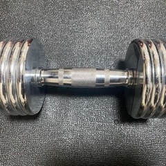 IGNIO 可変式ダンベル　2〜10kg クロームメッキ